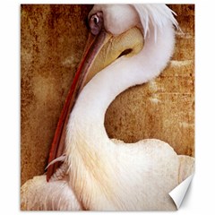 920-pelican Canvas 8  X 10  by PimpinellaArt