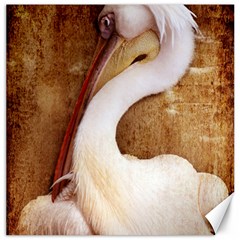 920-pelican Canvas 12  X 12   by PimpinellaArt