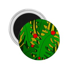 In the jungle 2.25  Magnets