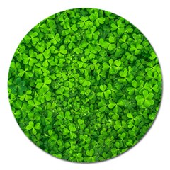 Shamrock Clovers Green Irish St  Patrick Ireland Good Luck Symbol 8000 Sv Magnet 5  (round) by yoursparklingshop