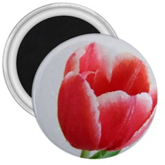 Red Tulip Watercolor Painting 3  Magnets by picsaspassion