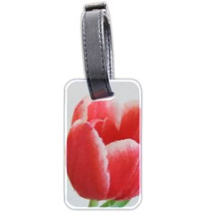 Red Tulip Watercolor Painting Luggage Tags (two Sides) by picsaspassion