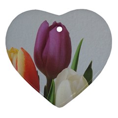 Tulips Heart Ornament (2 Sides) by picsaspassion