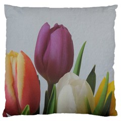 Tulips Standard Flano Cushion Case (two Sides)