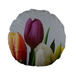 Tulips Standard 15  Premium Flano Round Cushions Back