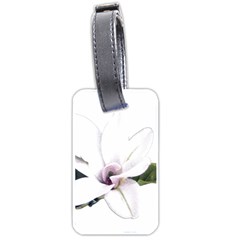 White Magnolia Pencil Drawing Art Luggage Tags (one Side)  by picsaspassion