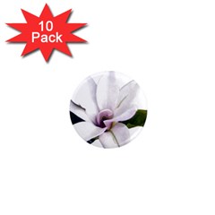 Magnolia Wit Aquarel Painting Art 1  Mini Magnet (10 Pack)  by picsaspassion