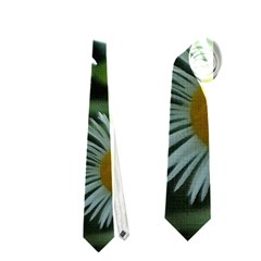 White Summer Flowers Oil Painting Art Neckties (two Side)  by picsaspassion