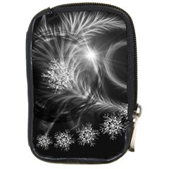 Silver Feather And Ball Decoration Compact Camera Cases by picsaspassion
