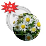 White summer flowers, watercolor painting 2.25  Buttons (100 pack)  Front