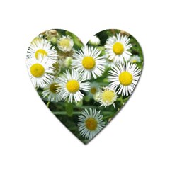 White summer flowers, watercolor painting Heart Magnet