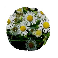 White summer flowers, watercolor painting Standard 15  Premium Round Cushions