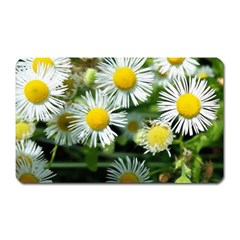 White Summer Flowers Oil Painting Art Magnet (rectangular)