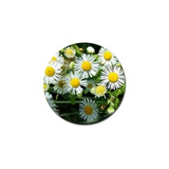 White Summer Flowers Oil Painting Art Golf Ball Marker (4 Pack) by picsaspassion