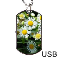 White Summer Flowers Oil Painting Art Dog Tag Usb Flash (two Sides)  by picsaspassion