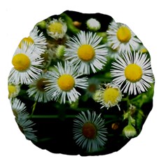 White Summer Flowers Oil Painting Art Large 18  Premium Flano Round Cushions