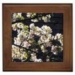 Japanese cherry blossom Framed Tiles Front