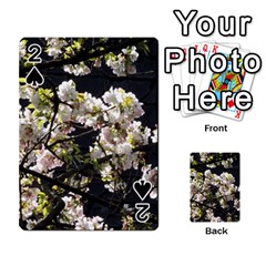 Japanese Cherry Blossom Playing Cards 54 Designs 