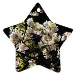 Japanese cherry blossom Star Ornament (Two Sides)  Front