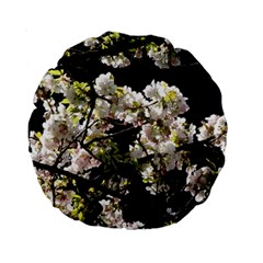 Japanese Cherry Blossom Standard 15  Premium Round Cushions by picsaspassion