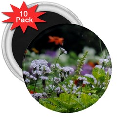 Wild Flowers 3  Magnets (10 Pack)  by picsaspassion