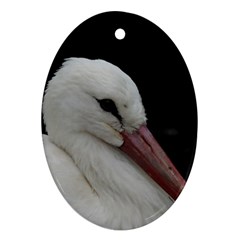 Wild Stork Bird Ornament (oval)  by picsaspassion