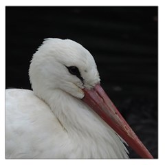 Wild Stork Bird Large Satin Scarf (square)