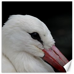 Wild Stork Bird, Close-up Canvas 16  X 16   by picsaspassion