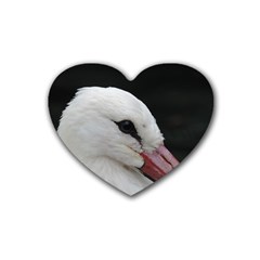 Wild Stork Bird, Close-up Rubber Coaster (heart)  by picsaspassion