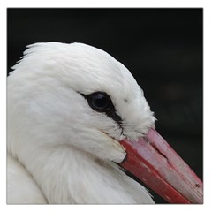 Wild Stork Bird, Close-up Large Satin Scarf (square)