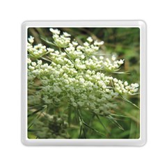 White Summer Flowers Memory Card Reader (square)  by picsaspassion