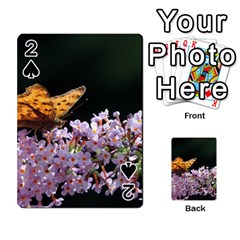 Butterfly Sitting On Flowers Playing Cards 54 Designs  by picsaspassion