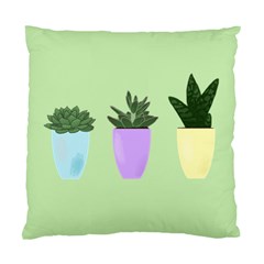 Succulents Standard Cushion Case (one Side) by itsybitsypeakspider