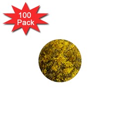 Nature, Yellow Orange Tree Photography 1  Mini Magnets (100 Pack)  by yoursparklingshop