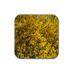 Nature, Yellow Orange Tree Photography Rubber Square Coaster (4 Pack) 