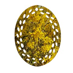 Nature, Yellow Orange Tree Photography Ornament (oval Filigree)  by yoursparklingshop