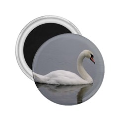 Swimming White Swan 2 25  Magnets