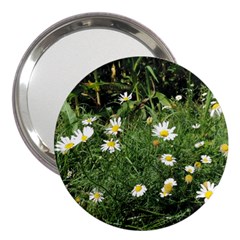 Wild Daisy Summer Flowers 3  Handbag Mirrors by picsaspassion