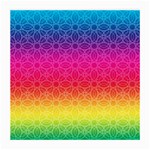 Rainbow Rings Glasses Cloth (Medium 2-Side) Back