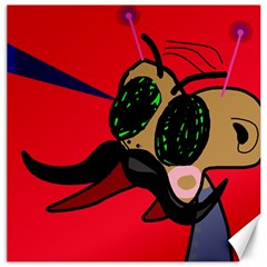 Mr Fly Canvas 16  x 16  