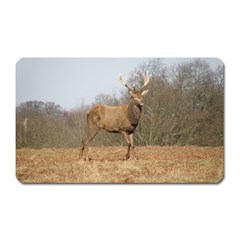 Red Deer Stag On A Hill Magnet (rectangular) by GiftsbyNature