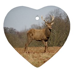 Red Deer Stag On A Hill Heart Ornament (2 Sides) by GiftsbyNature
