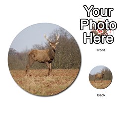 Red Deer Stag On A Hill Multi-purpose Cards (round)  by GiftsbyNature