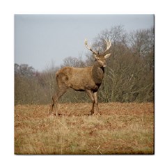 Red Deer Stag On A Hill Face Towel by GiftsbyNature