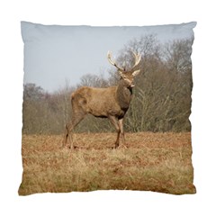 Red Deer Stag On A Hill Standard Cushion Case (two Sides) by GiftsbyNature