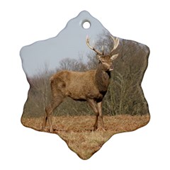 Red Deer Stag On A Hill Ornament (snowflake)  by GiftsbyNature