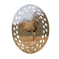 Red Deer Stag On A Hill Ornament (oval Filigree)  by GiftsbyNature