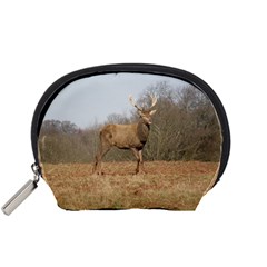 Red Deer Stag On A Hill Accessory Pouches (small)  by GiftsbyNature