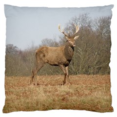 Red Deer Stag On A Hill Standard Flano Cushion Case (two Sides) by GiftsbyNature