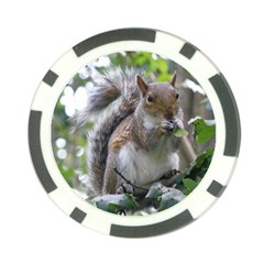 Gray Squirrel Eating Sycamore Seed Poker Chip Card Guards (10 Pack)  by GiftsbyNature